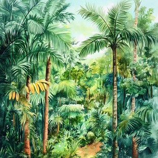 热带雨林手绘