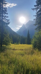 山林草地黄昏