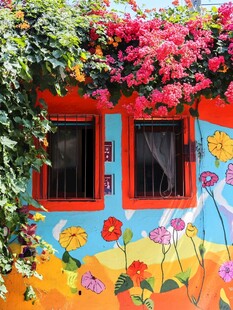 街巷墙体盆栽花卉