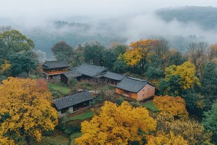 贤山晨雾