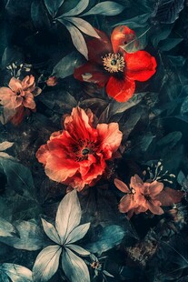 彩色绚丽梦幻唯美花朵