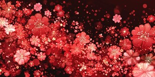 红色星光花朵背景