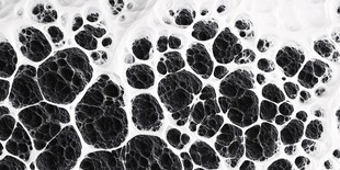 抽象黑白石根线条