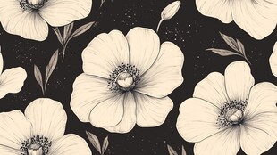 银莲花插画