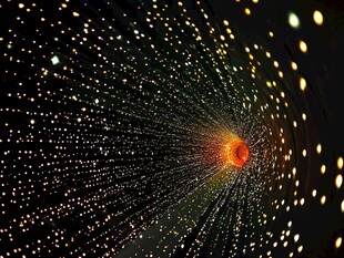 密密麻麻的虫洞