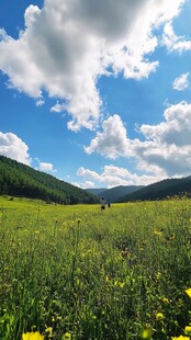 行走草原