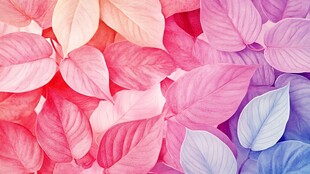 紫红树叶丛背景