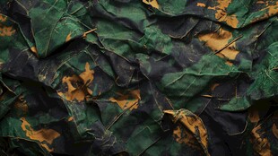 暗绿色图案皱巴巴的