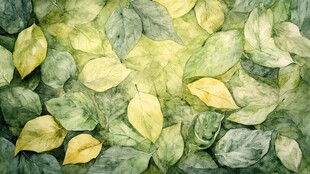 五彩树叶背景实拍