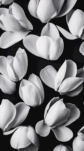 3d立体花壁纸