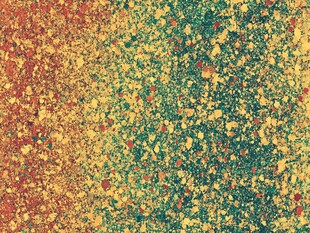 金红色斑点纹理