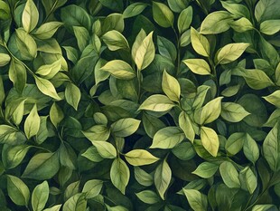 高清绿叶背景图片