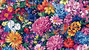 彩色花朵壁纸