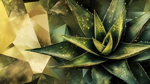 炫彩黑加仑凤梨壁纸