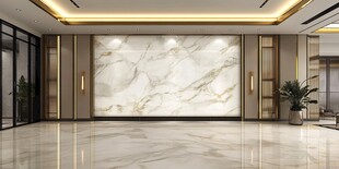 大理石纹金迎宾区