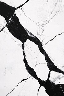 抽象黑白石根线条