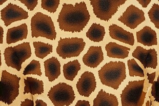 长颈鹿皮纹理