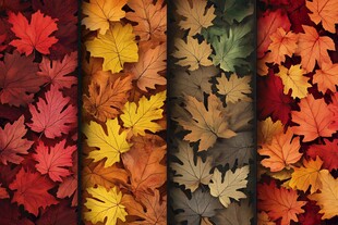 五彩树叶背景实拍