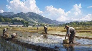 水田劳作场景
