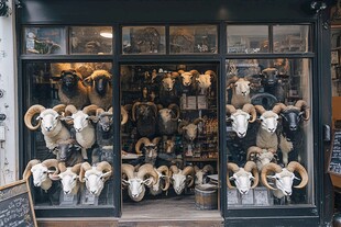 手工艺品店橱窗