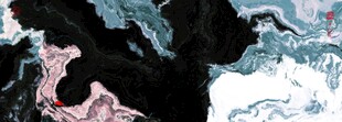 玄关水墨画