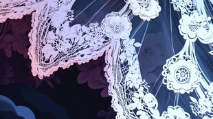 牡丹包装插画