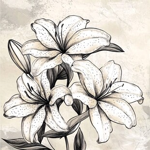 典雅百合花装饰画