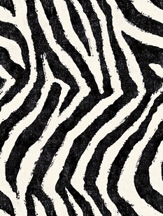 创意斑马皮纹