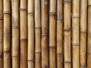 竹杆背景