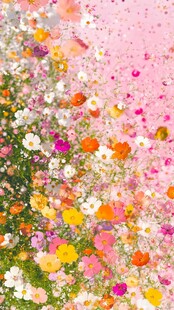 泫雅风花朵壁纸