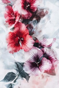 彩色绚丽梦幻唯美花朵