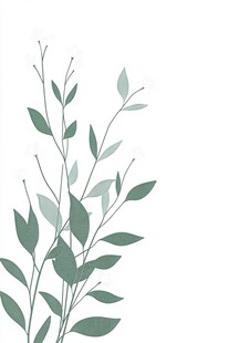 绿色叶片插画