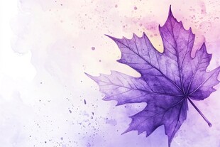 枫叶电脑桌面壁纸