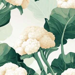 花椰菜插画