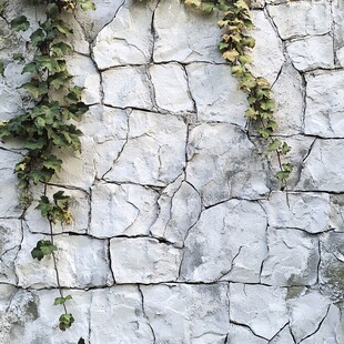 爬山虎石壁背景墙