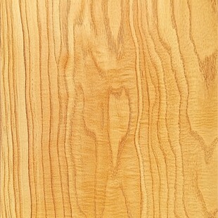 黄金木纹古树木纹