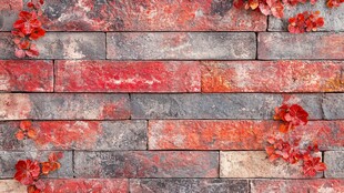 爬山虎红砖背景墙