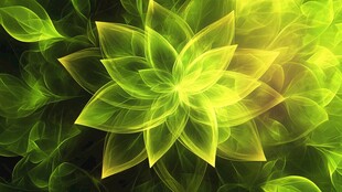 绿色壁纸叶脉植物