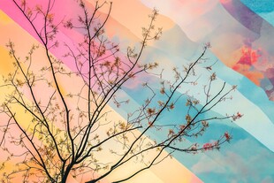 渐变树枝背景