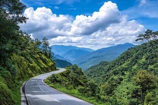 高黎贡山垭口风光
