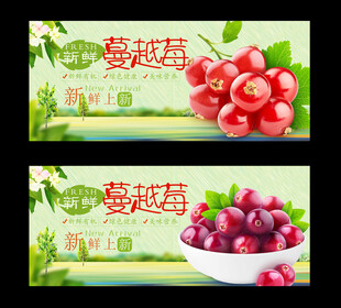 蔓越莓
