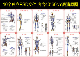解剖列车图