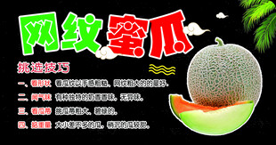 网纹蜜瓜挑选技巧