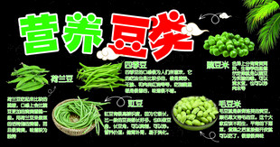 豆角种类小常识