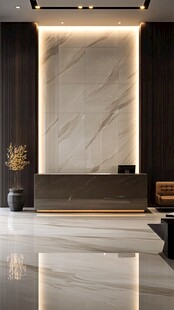 前台大理石背景墙