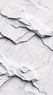 抽象黑白石根线条