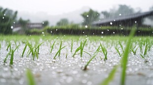 春雨落百谷生