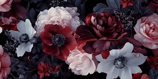 3d立体花卉牡丹