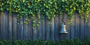 木板墙青藤背景