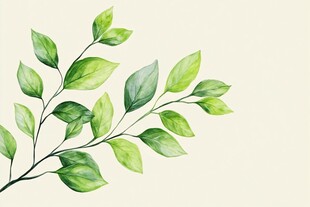 绿色叶片插画